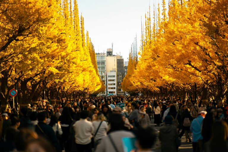 Tokyo travel guide