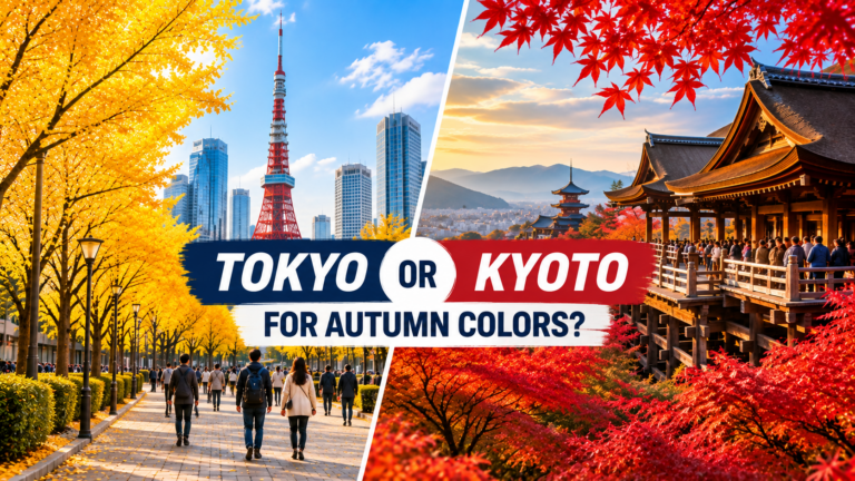 Tokyo and Kyoto autumn colors comparison with golden ginkgo trees and red maple foliage