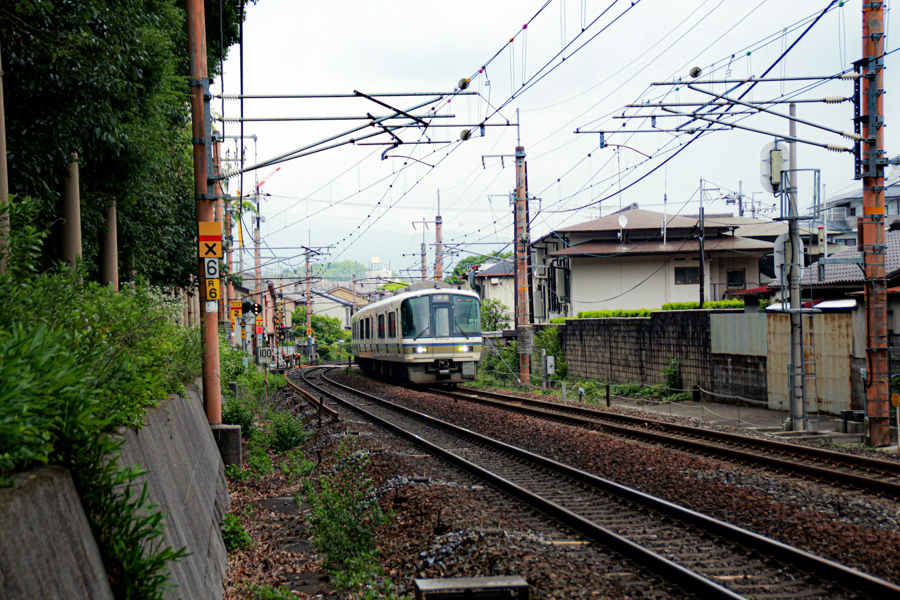 Local train traveling through Arashiyama in Kyoto.