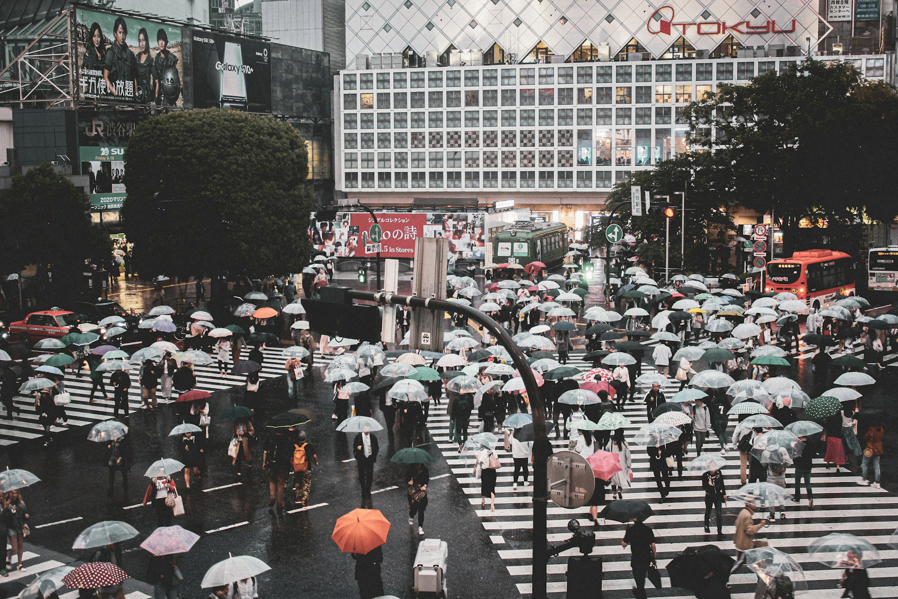Pedestrians with umbrellas crossing Shibuya Scramble in Tokyo