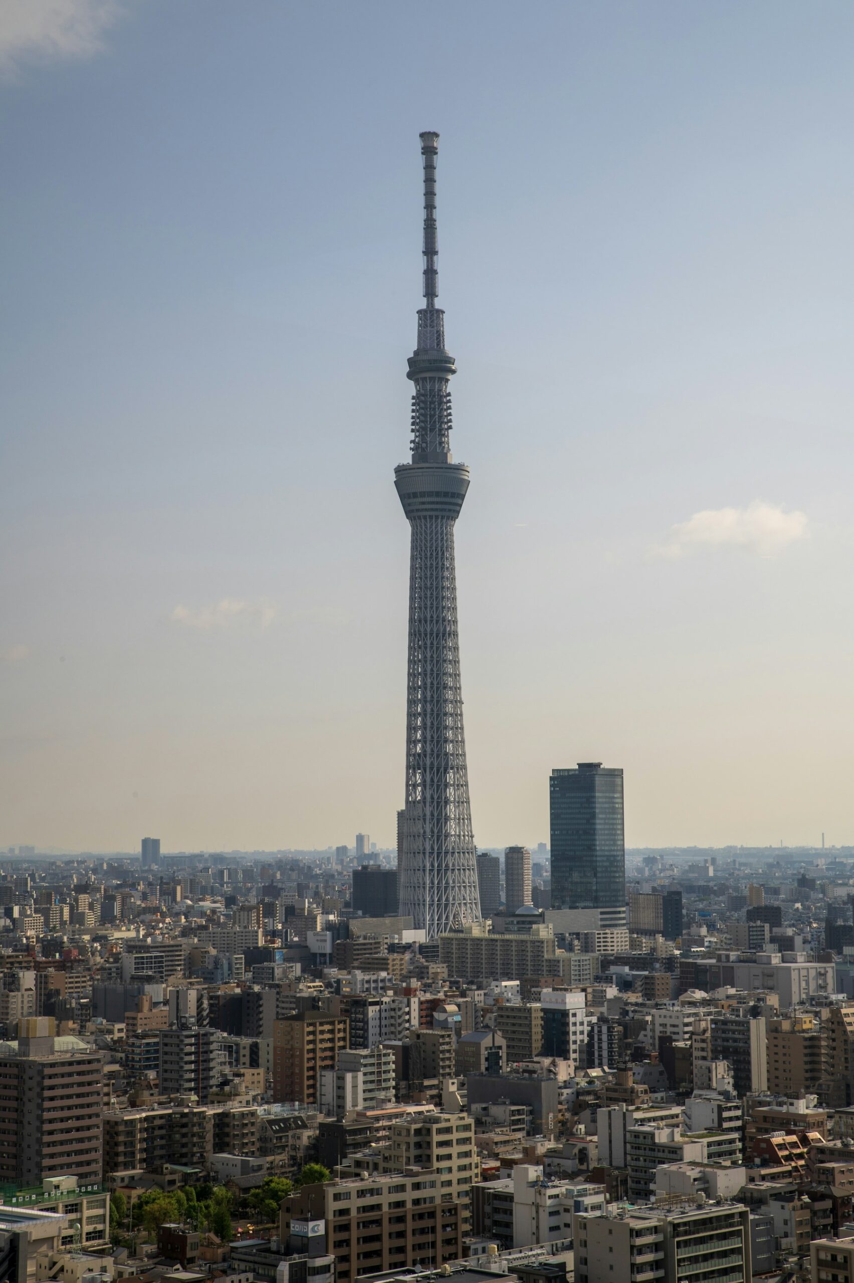 Tokyo Skytree rising above the Sumida cityscape.